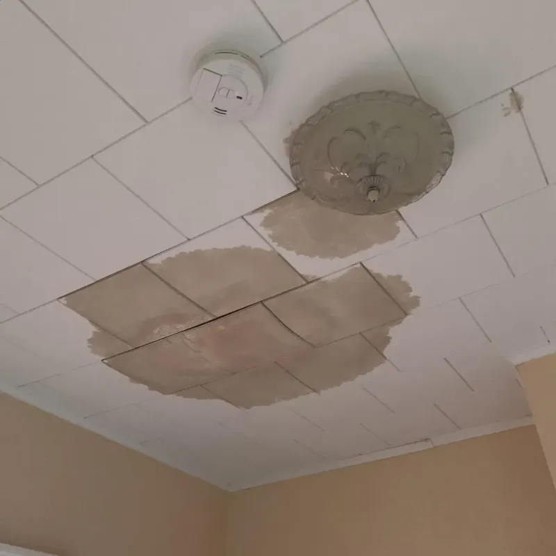 Ceiling Water Damage Repair in Circle Pines, MN