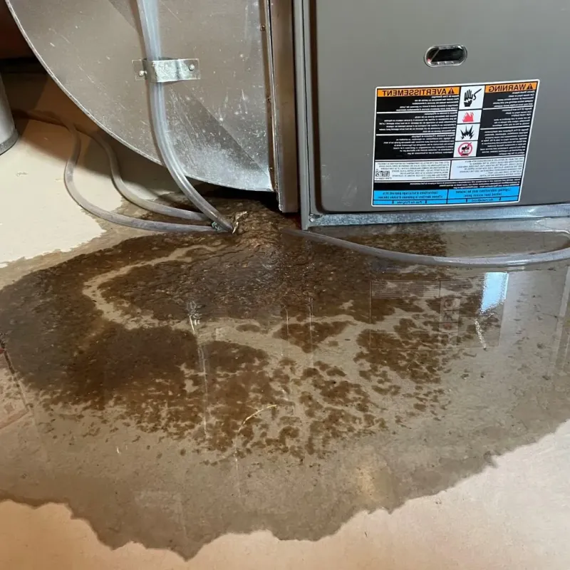 Pipe Burst and Leak Restoration in Circle Pines, MN